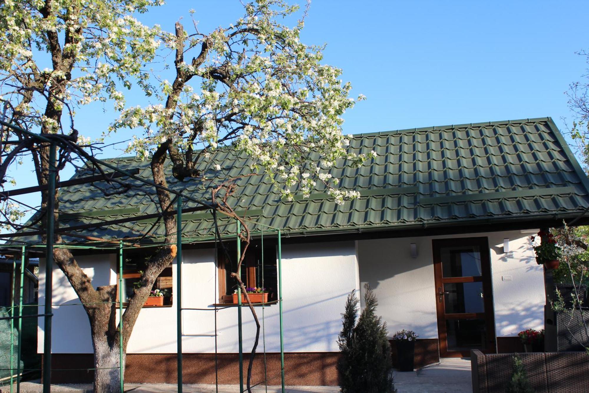 Villa Casuta Artistilor Breaza  Exterior foto
