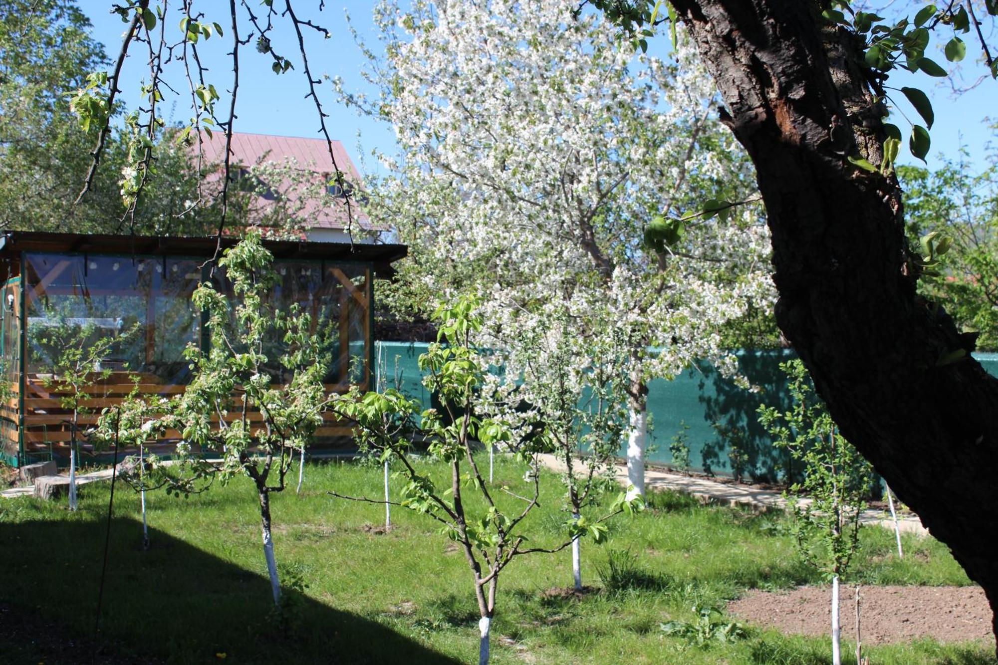 Villa Casuta Artistilor Breaza  Exterior foto