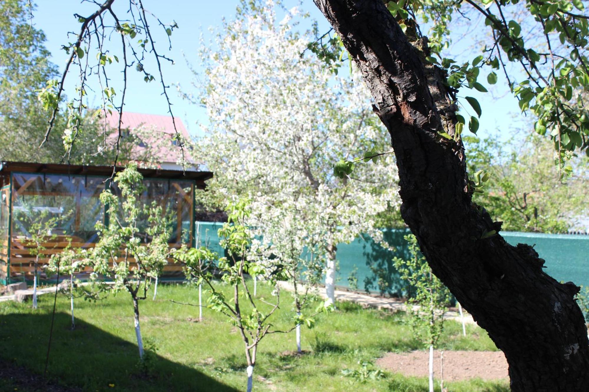 Villa Casuta Artistilor Breaza  Exterior foto